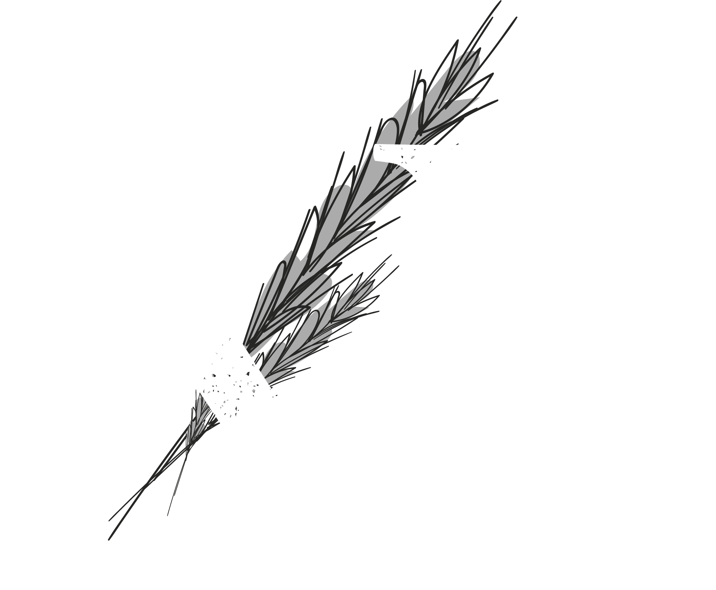 robert & victor