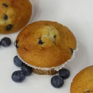 Blueberry Muffins